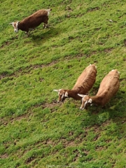 Kalama_IMG_20240220_102433194