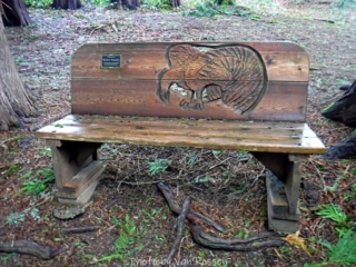 Decorative Bench in the park