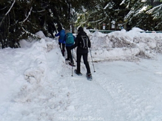 Getting past the gate