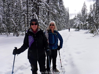 At the junction, which way?