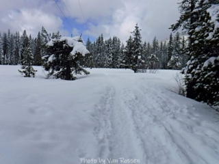Arriving at Summit Meadow