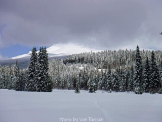 Summit Meadow and almost Mt. Hood