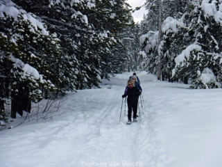 Heading out across the meadow