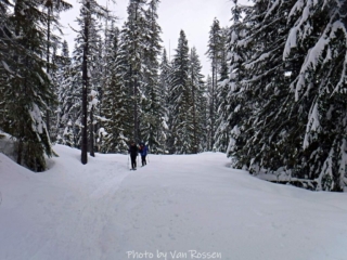 Rounding the top of the loop.