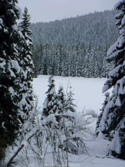 First look at Trillian Lake