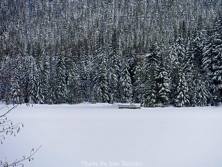 Viewing platform at Trillian Lake