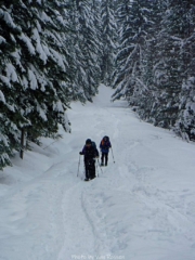 Starting the up hill climb back