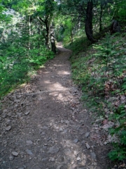 The trail is almost all up