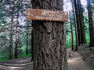 More Difficult trail up other trail down