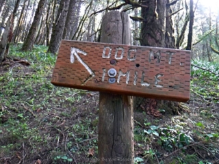 Trail Junction sign