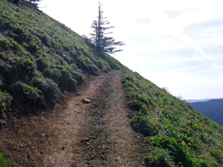 Last bit of trail to Pup