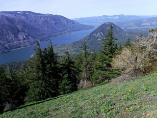 First view down the Gorge