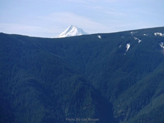 Mt. Hood