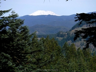 Mt St Helens