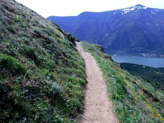 Trail heading down