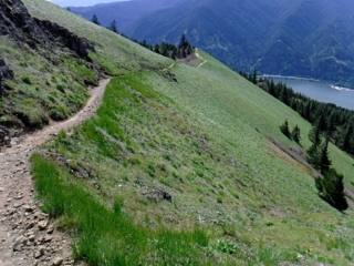 Trail across upper meadow
