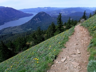 Trail going down with Wind Mt. foreground