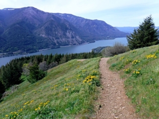 View at lower viewpoint