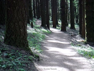 On less difficult trail heading down