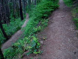 First of many switchbacks to come