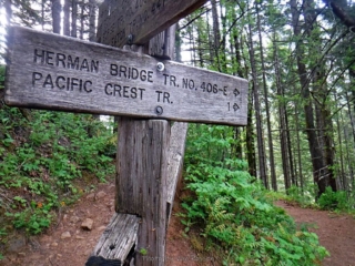 Connector trail over to the PCT