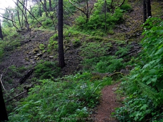 On the PCT blow the cliffs