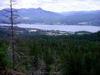 View out to the Columbia River at Cascade Locks