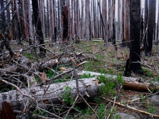 Got to the flat and it was a mess, I stopped here