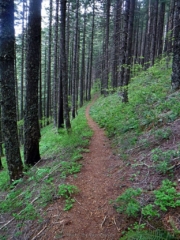 On the PCT heading down