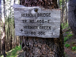 Back to the trail to the Herman Creek Bride