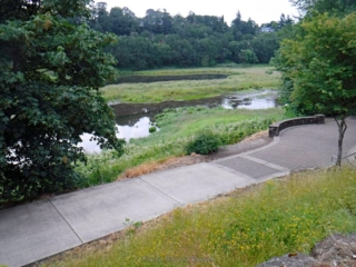 Start of the trail and wetland it follows