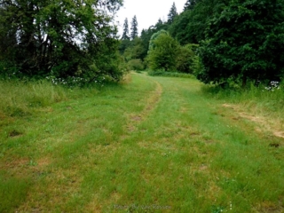 Venturing off onto an unpaved side trail