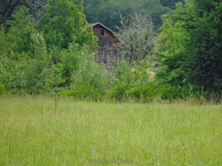 The barn from when this was in the country