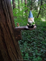 I started being watched as I pressed on