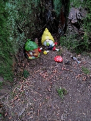 I found the Gnomes were hiding everywhere