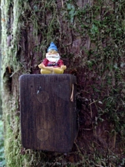 The last little guy before the trail ended