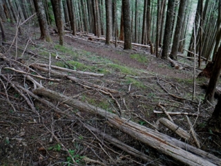 Makes you glad they put switchbacks in.