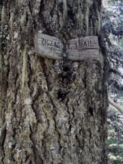 The sigh has been there a while