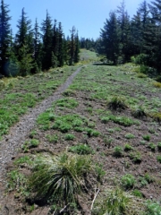 Open ridge meadow up to the summit.