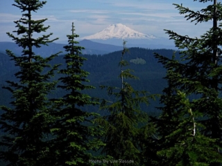 Mt. Adams from the ridge