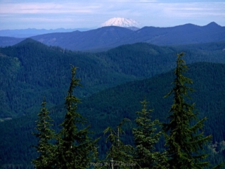 Mt St. Helen