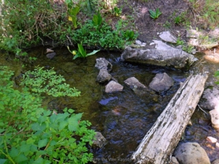 Cast Creek flowing out of the lake