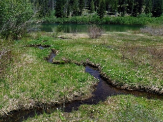 Creek flowing into Cast Lake