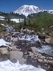 Edith Creek with Mt. Rainier