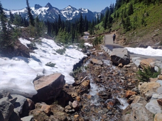 Deadhorse Creek and the Tatoosh Range