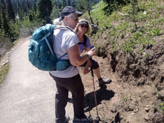 What flower is that?