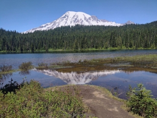 Mt Rainier at Reflection Lake