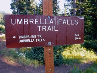 Back at Umbrella Falls Trailhead for an early start
