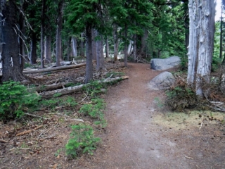 Connecting trail from the chair lift to the Timberline Trail