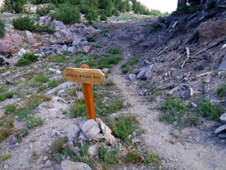 Start of Middle Wizard Way